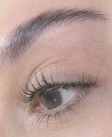 Lash & Brow Lifting