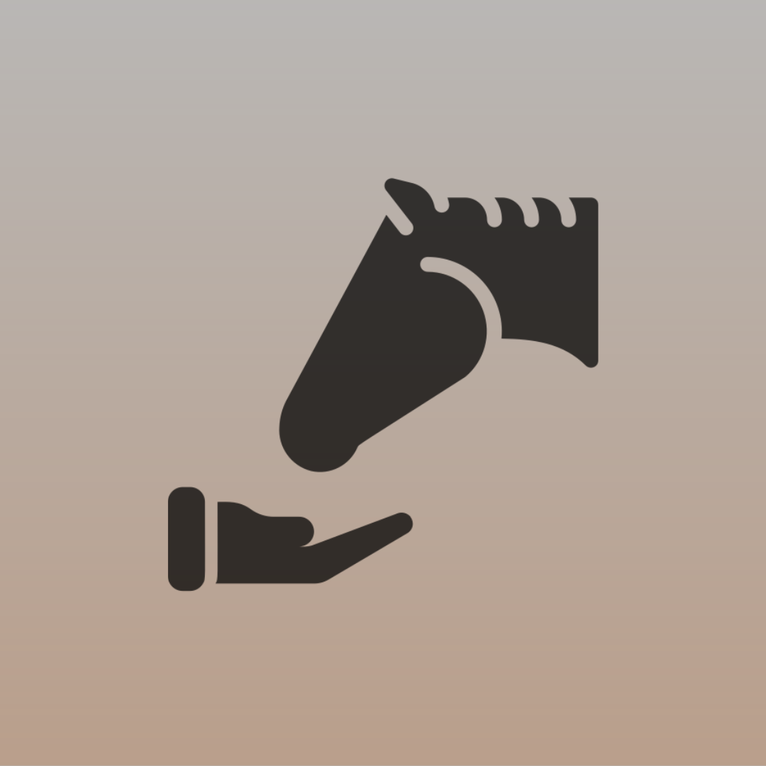 العناية بالخيل