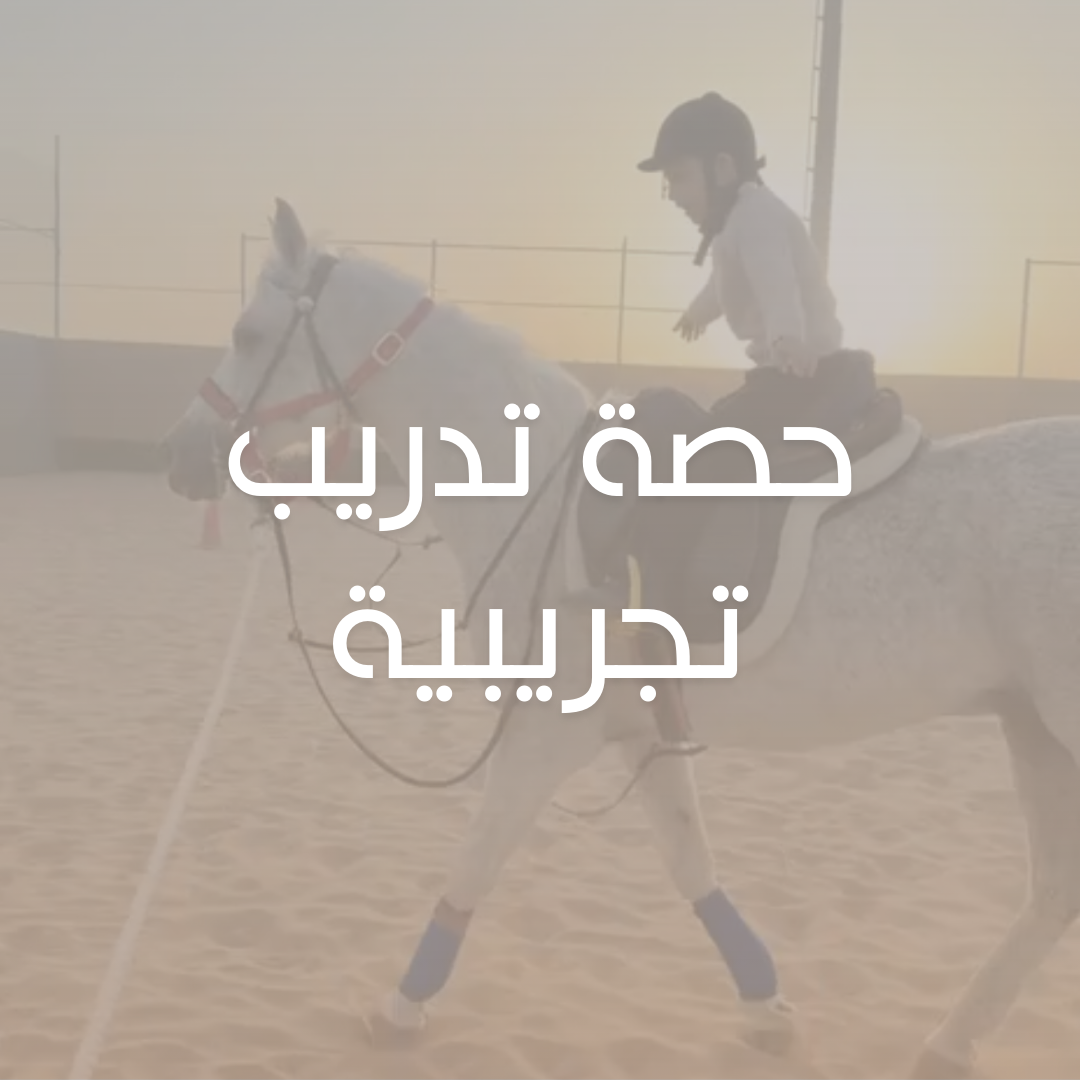 حصة تدريب لمرة واحدة