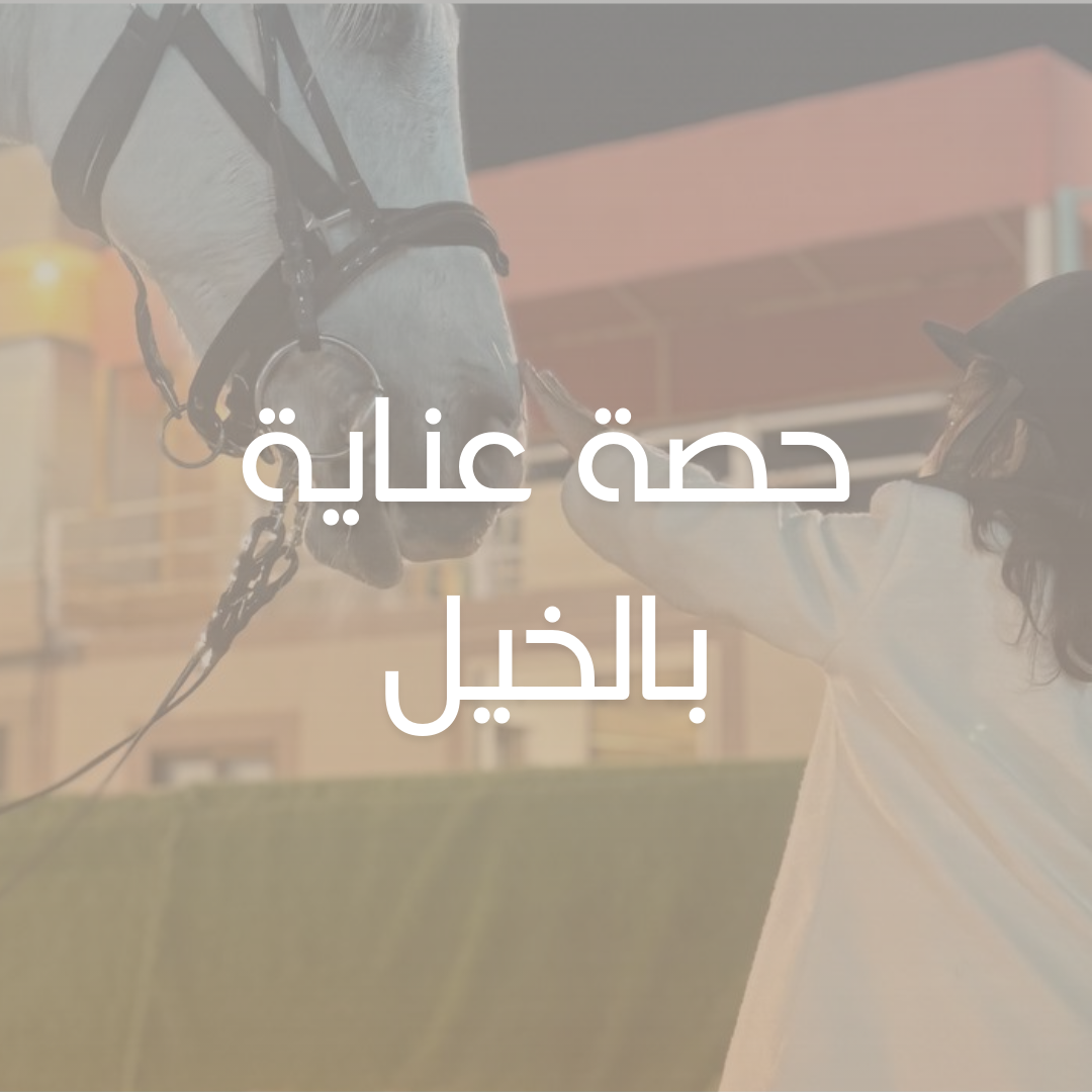 حصة عناية بالخيل