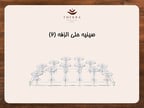 صحن حلى الزفة (2)