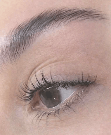 Lash & Brow Lifting
