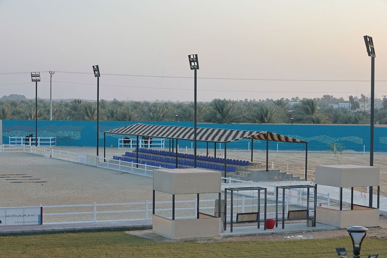 معرض الصور 16