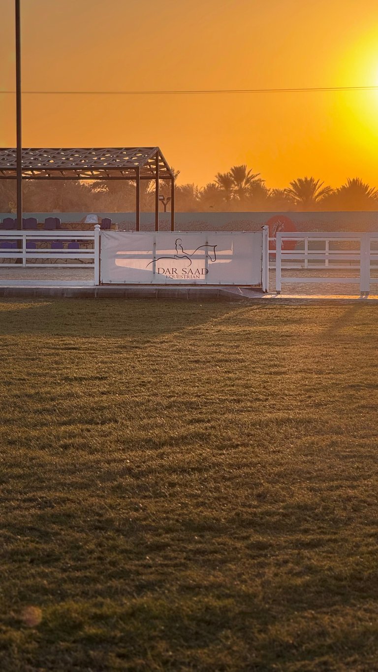 معرض الصور 4