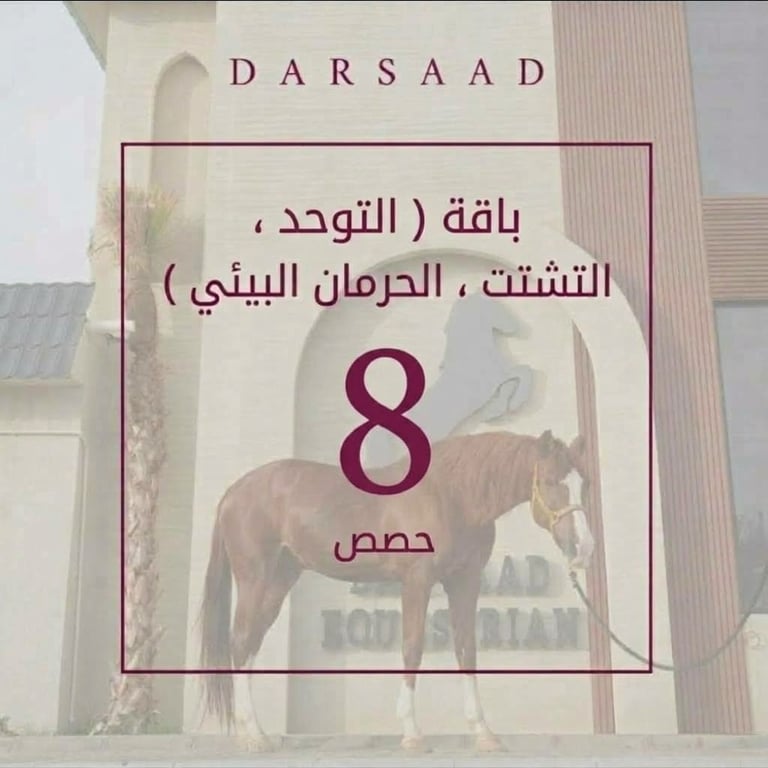 بكج التوحد 8 حصص لمد شهر