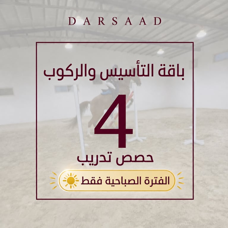 باقة التأسيس والركوب