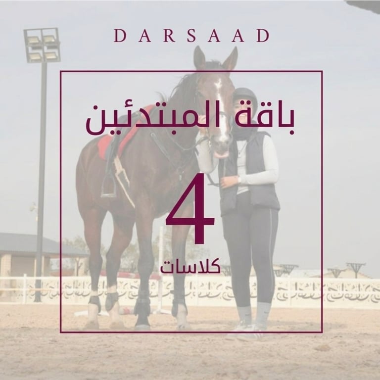 باقة المبتدئين 4 كلاسات