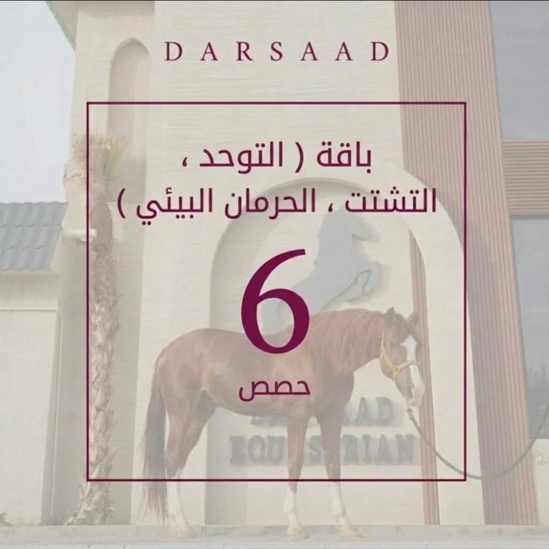 بكج التوحد 6 حصص لمدة شهر