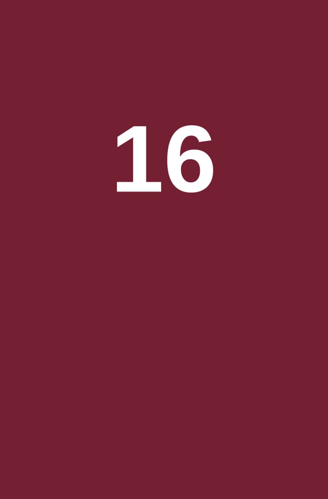 قفز حواجز باقة 16 حصة