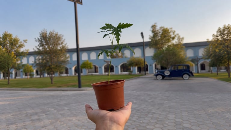 تجربة الزراعة + ركوب الخيل 