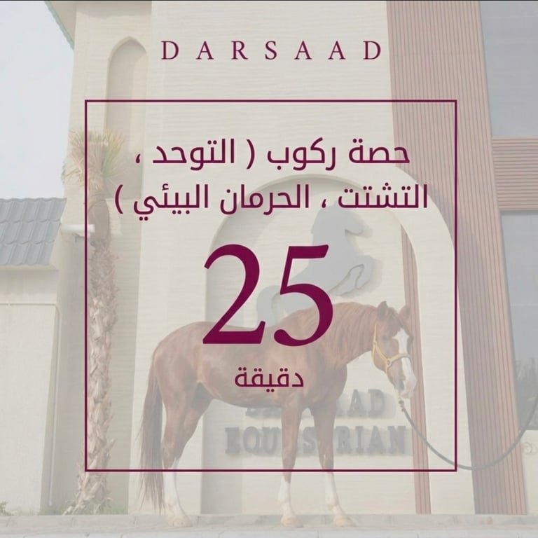 ركوب ( التوحد ، التشتت ، الحرمان البيئي )