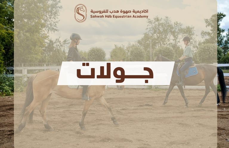جولات