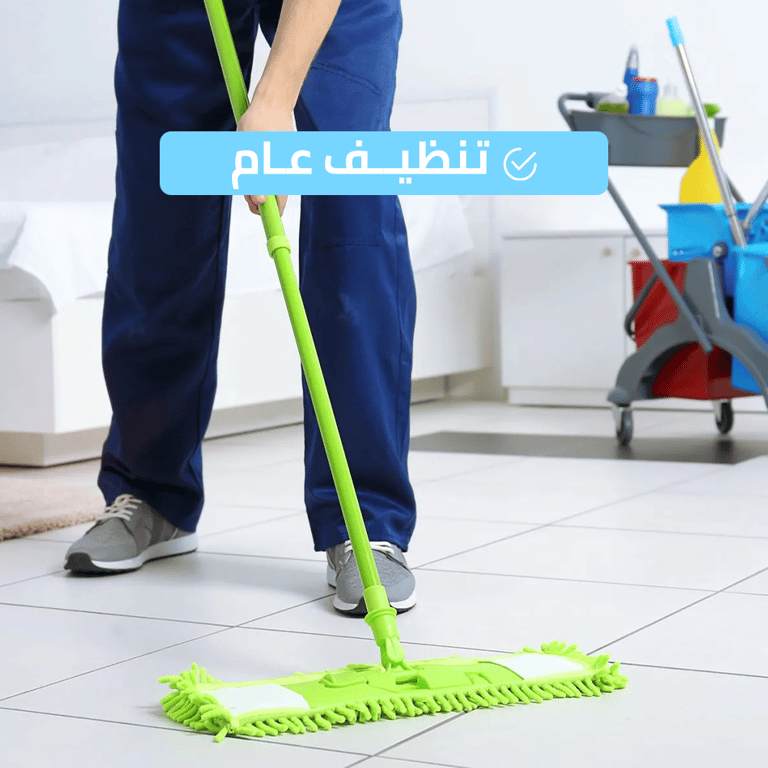 تنظيف عام 