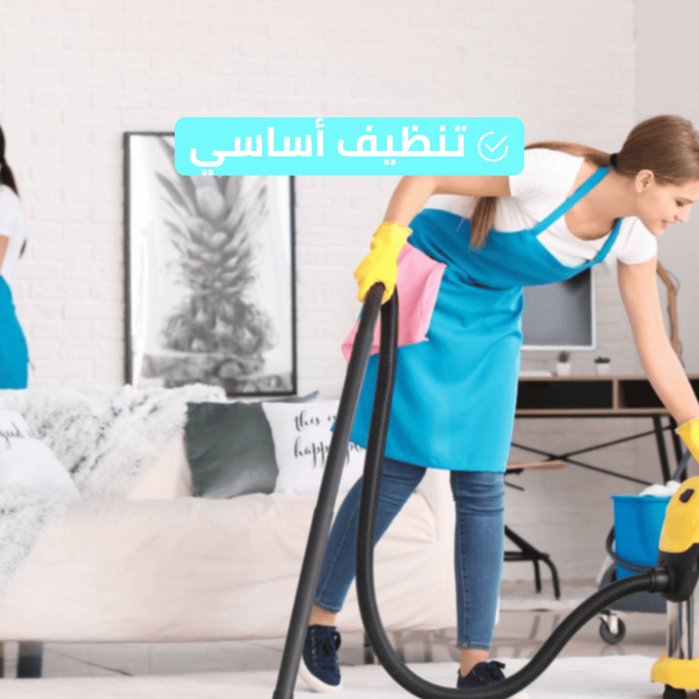 تنظيف أساسي