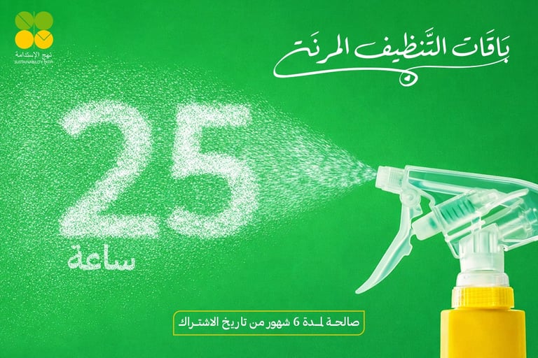 25 cleaning hours package