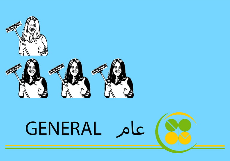 (طاقم ٤) ٣ ساعة تنظيف عام