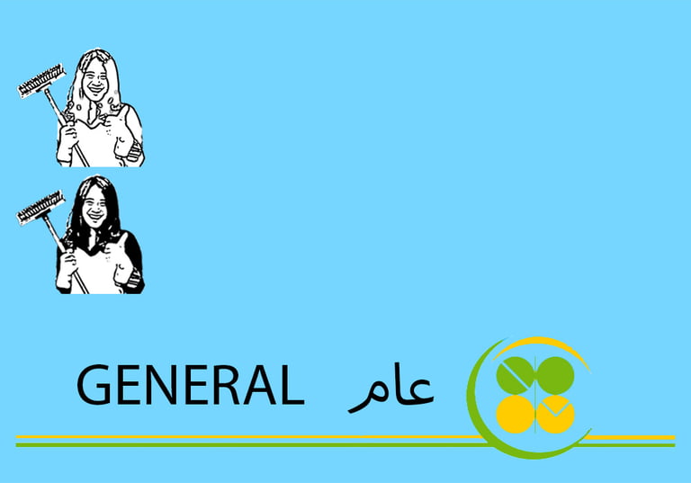(طاقم ٢) ٣ ساعة تنظيف عام