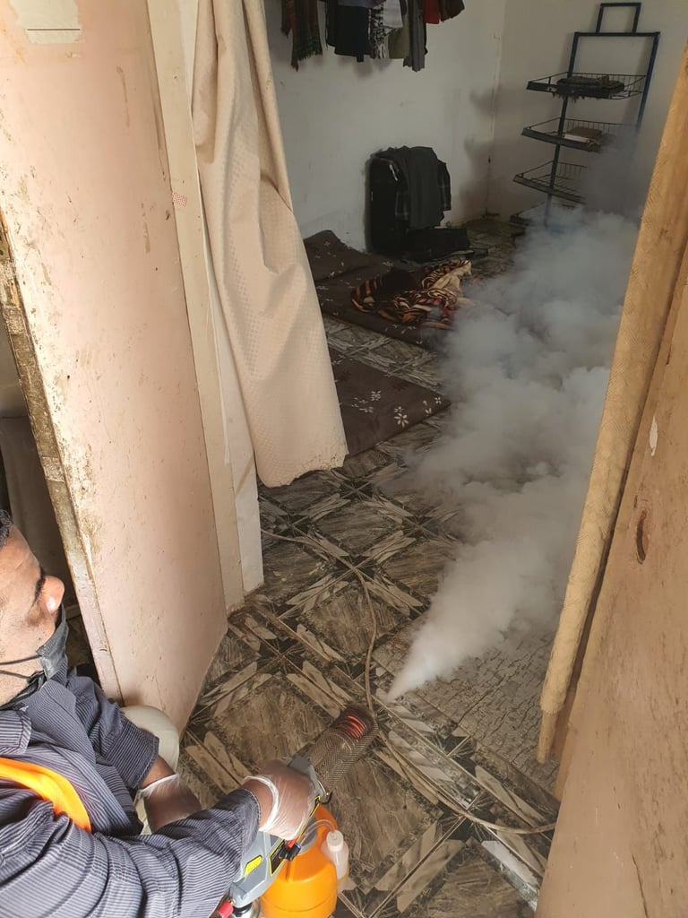 معرض الصور 1