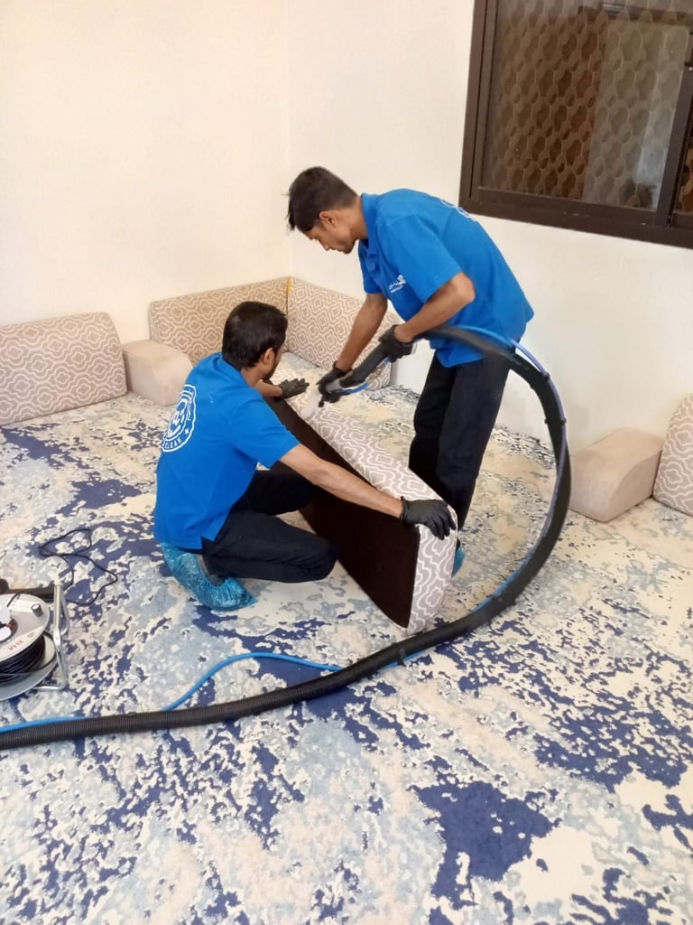 معرض الصور 12