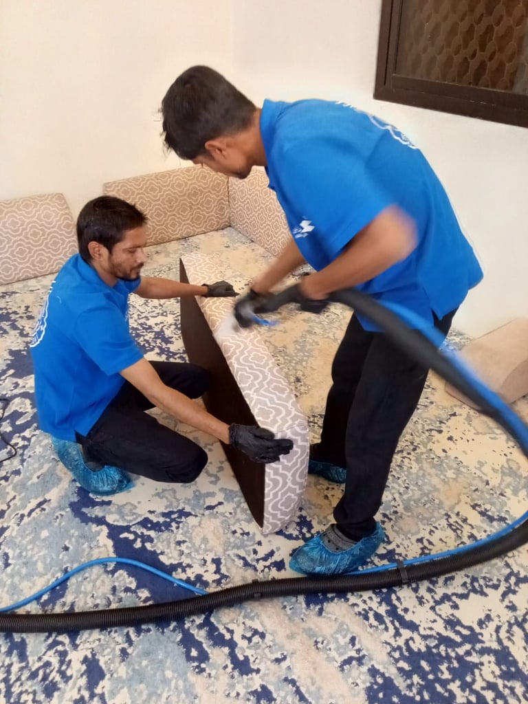 معرض الصور 9