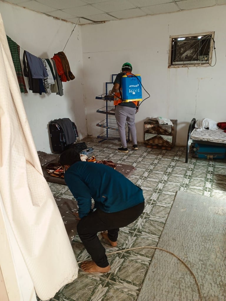 معرض الصور 5