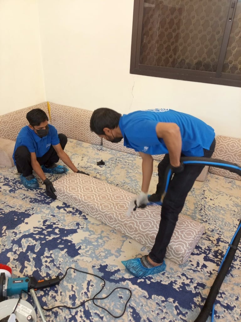 معرض الصور 10