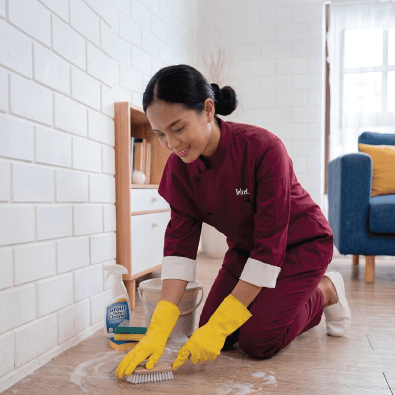 Standard Cleaning (5 hours)