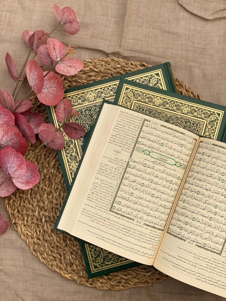 كتاب المختصر في التفسير (صغير )