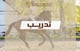تدريب