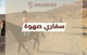 سفاري صهوة