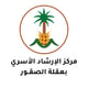 الاستشارات
