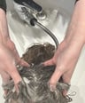 Hair Washing 
