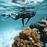 SNORKELLING