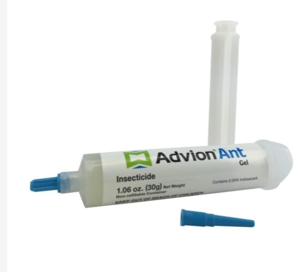 جل ادفيون للنمل 