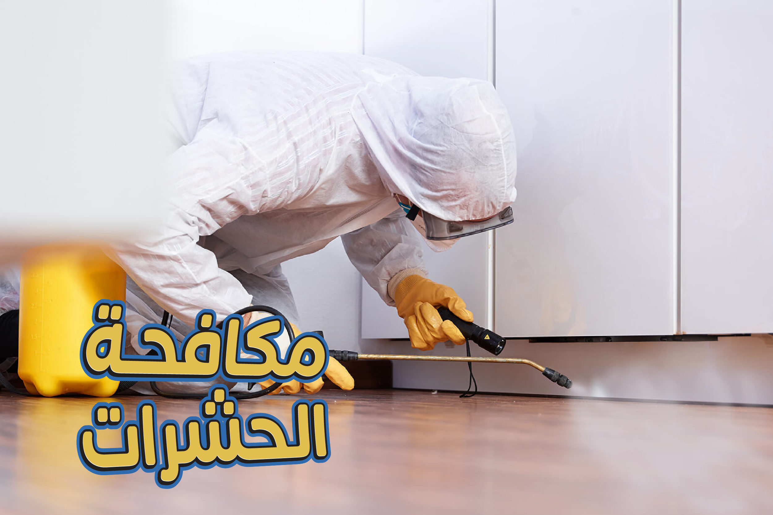 مكافحة الحشرات _ شقة وسط