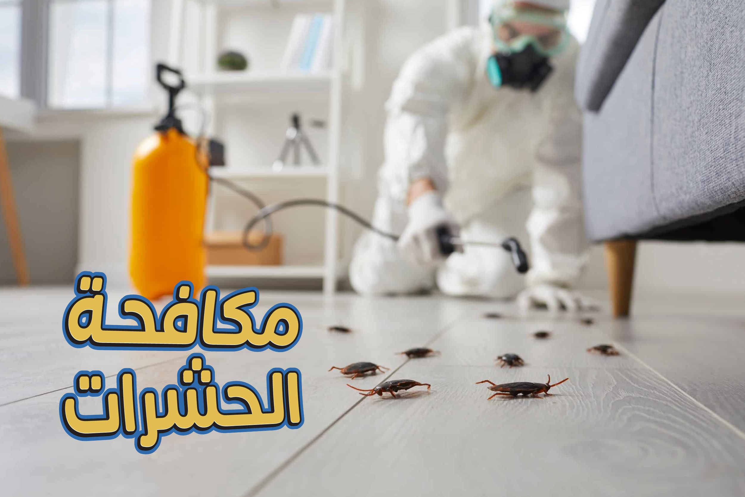 مكافحة الحشرات - شقة كبيرة 