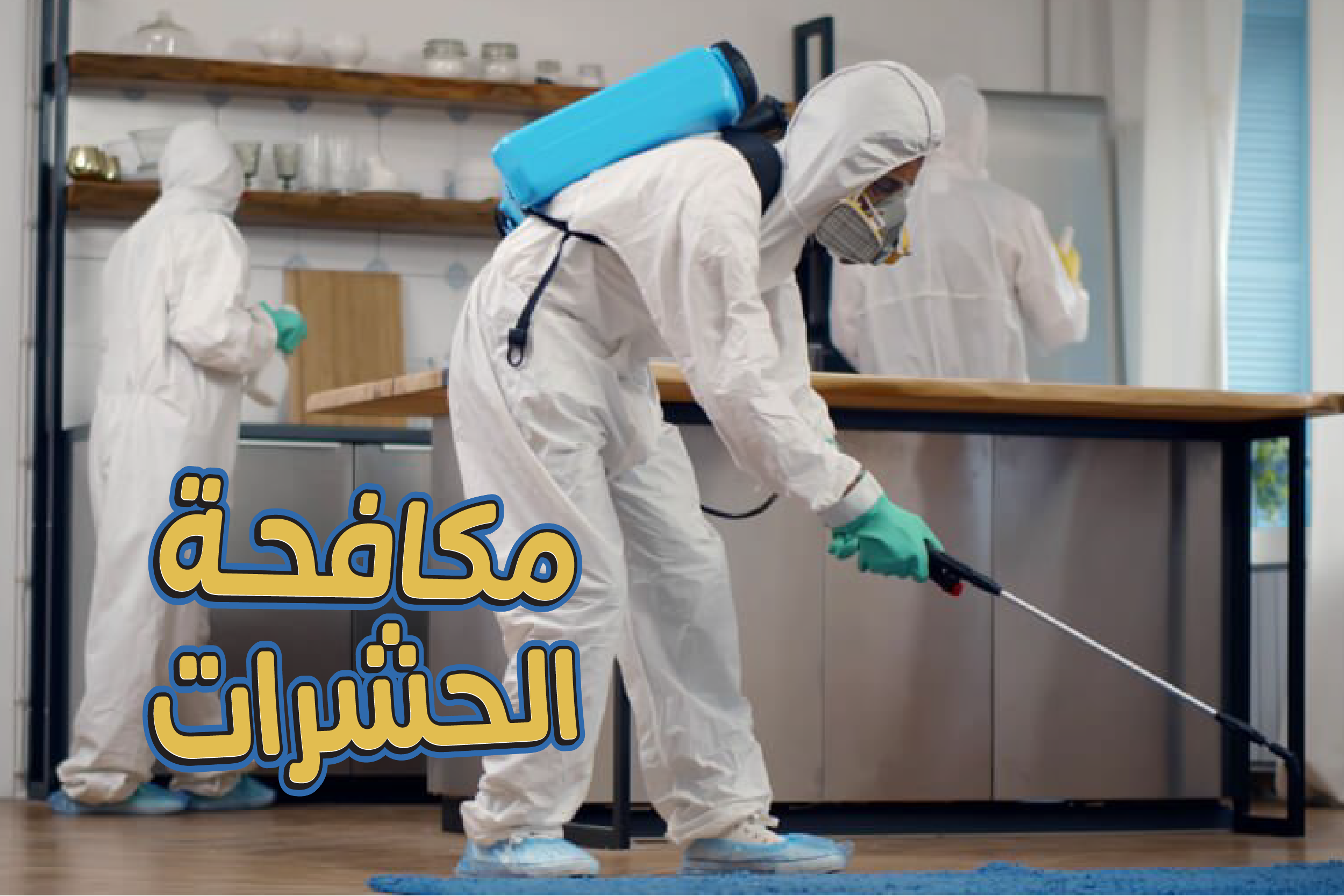 مكافحة الحشرات -شقة صغيرة 