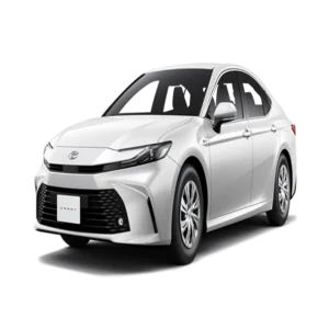 غسيل سيارة صغيرة