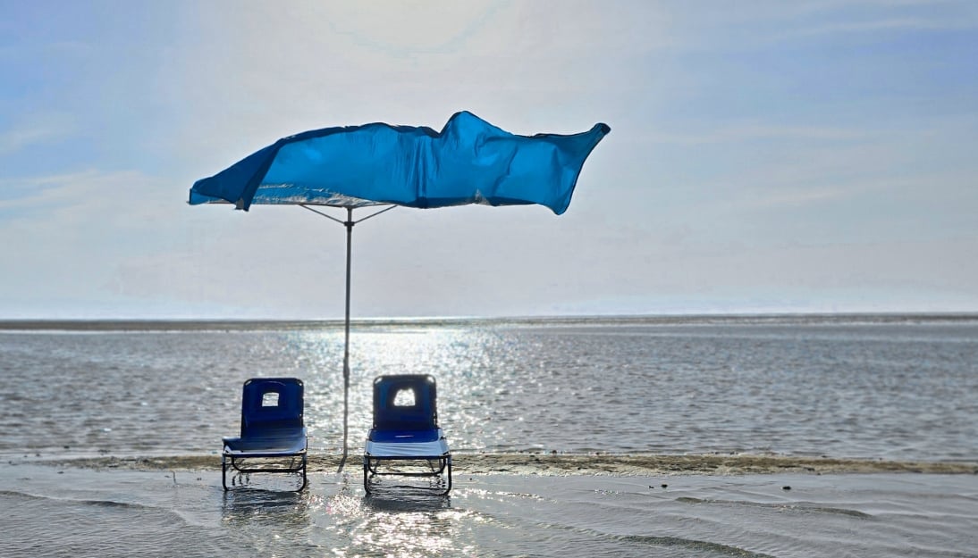 باقة تان-تان