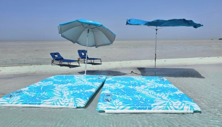 عروس البحر (مع السنوركلينغ)