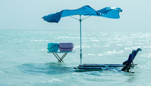 باقة تان-تان