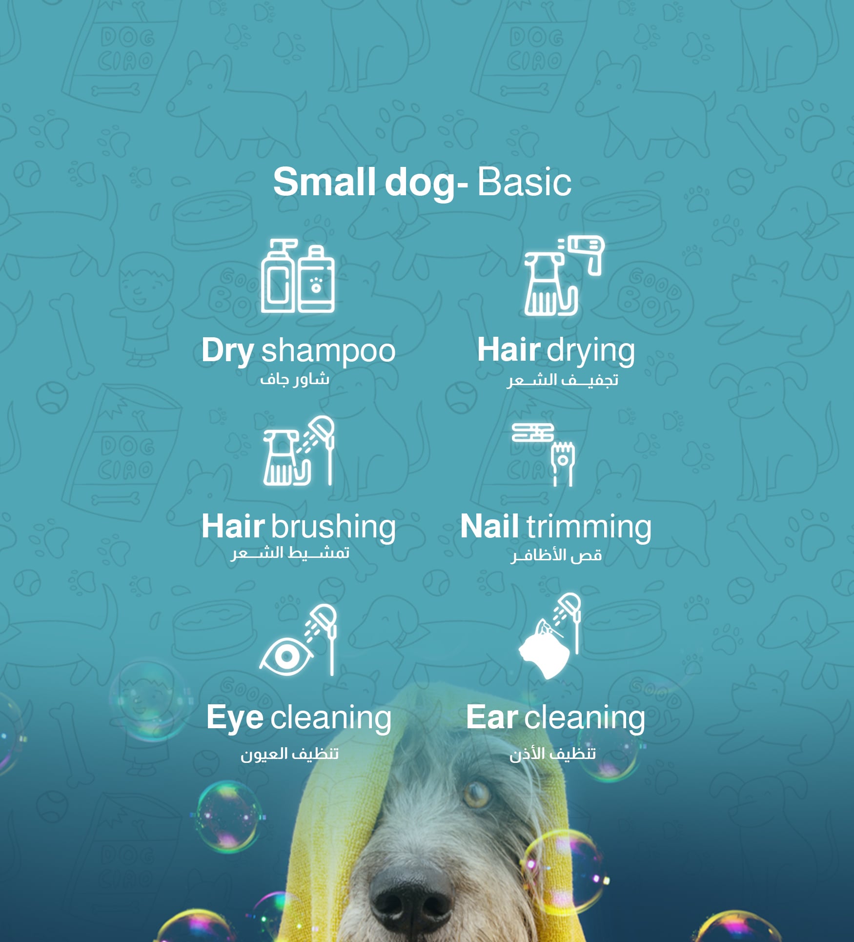 كلاب - اساسي