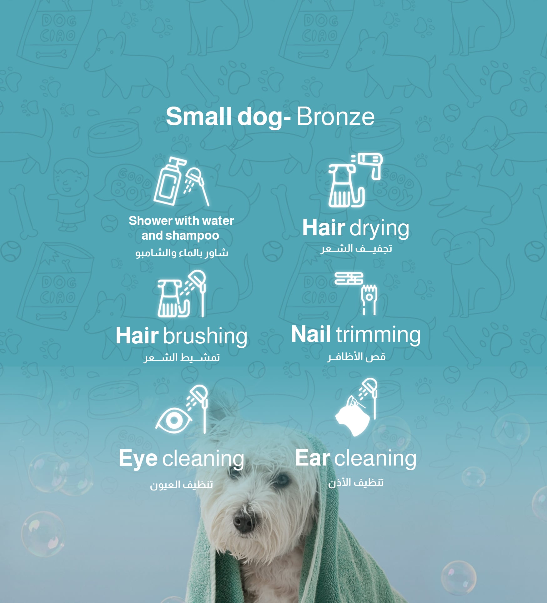 كلاب - برونز