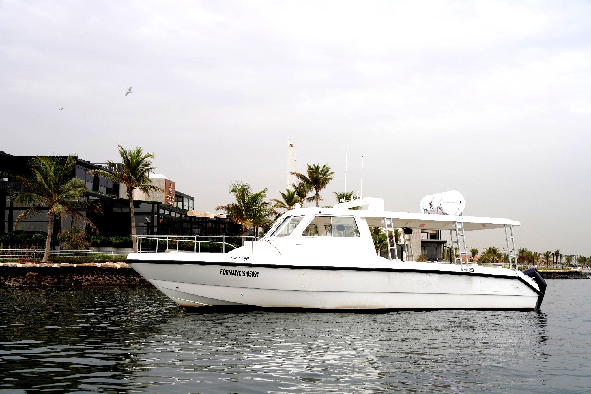 قارب كبير تورينج