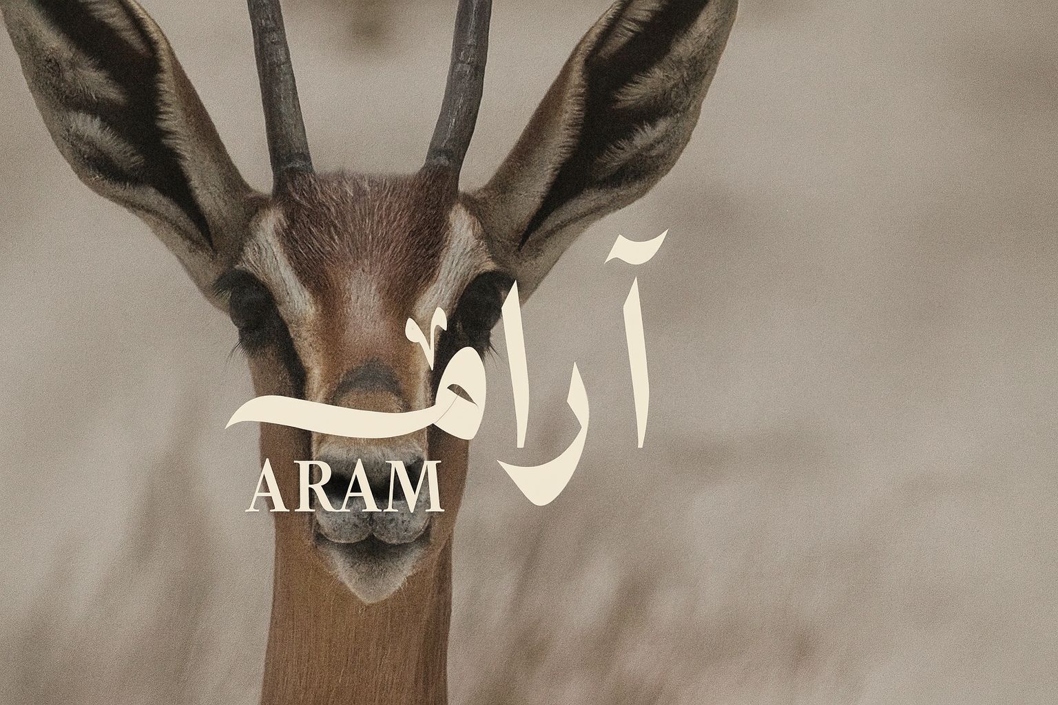 الرئيسية | آرام